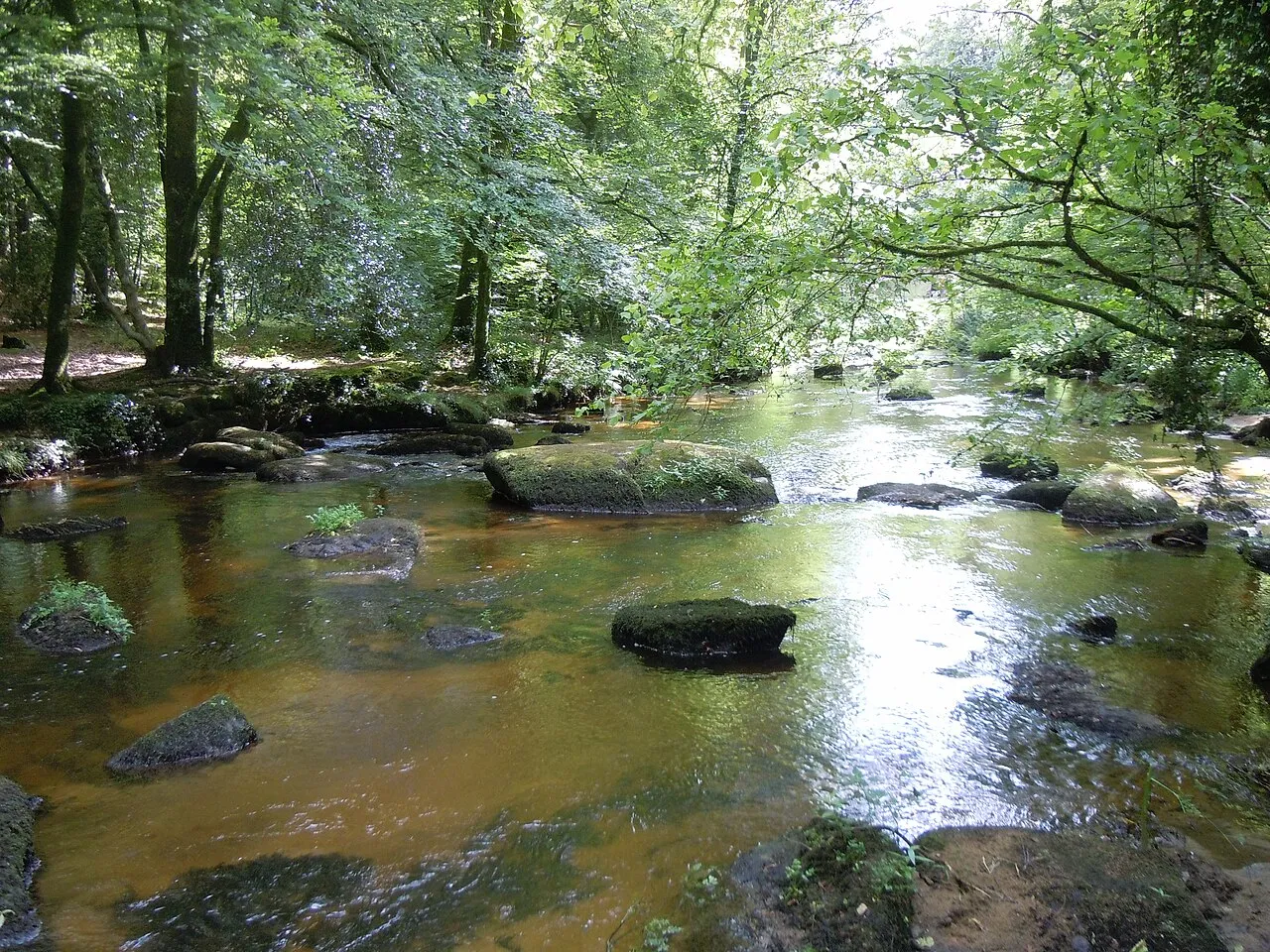 Forêt de Pontcallec : randonnées, faune, flore (Morbihan, 2026)